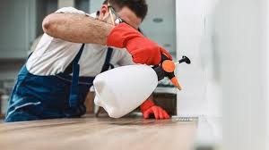 Best Real Estate Pest Inspections  in Clemmons, NC